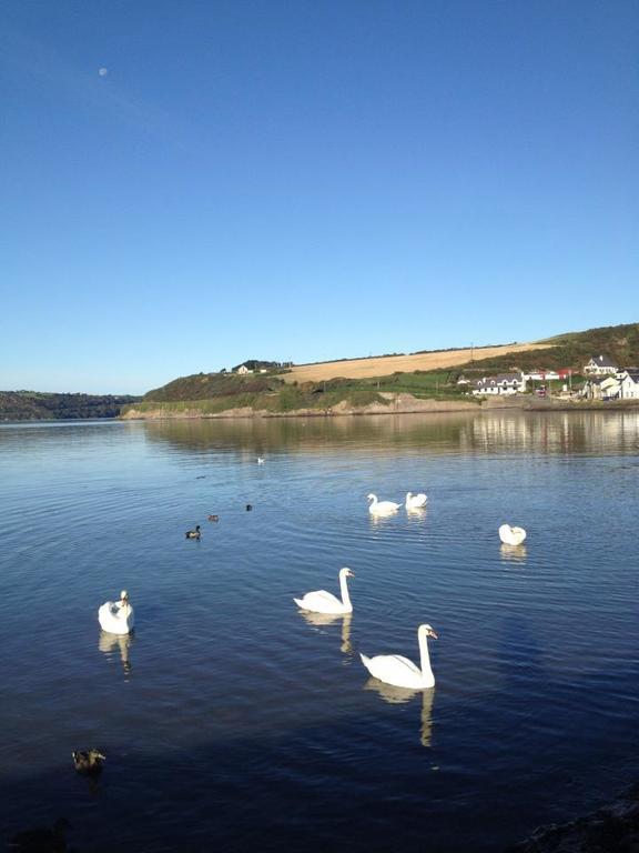 Marsh Mere Lodge Arthurstown Luaran gambar